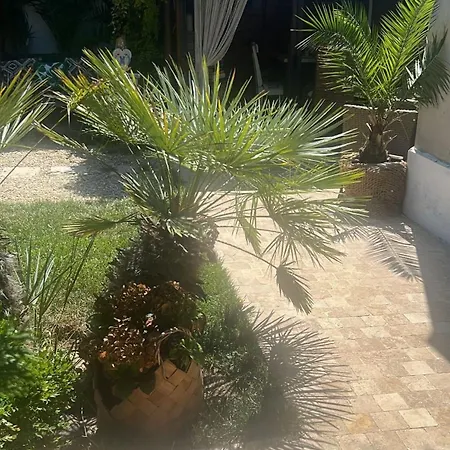 Vendégház Casa Saga Proprietate Administrata De O Gazda Particulara Mangalia