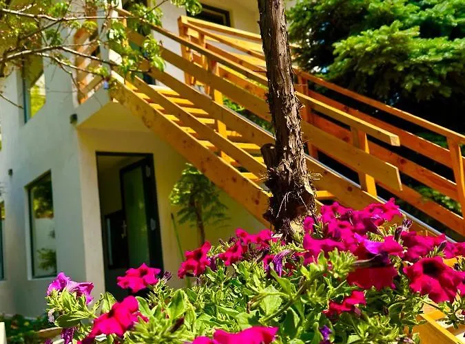 Gæstehus Casa Saga Proprietate Administrata De O Gazda Particulara 3*