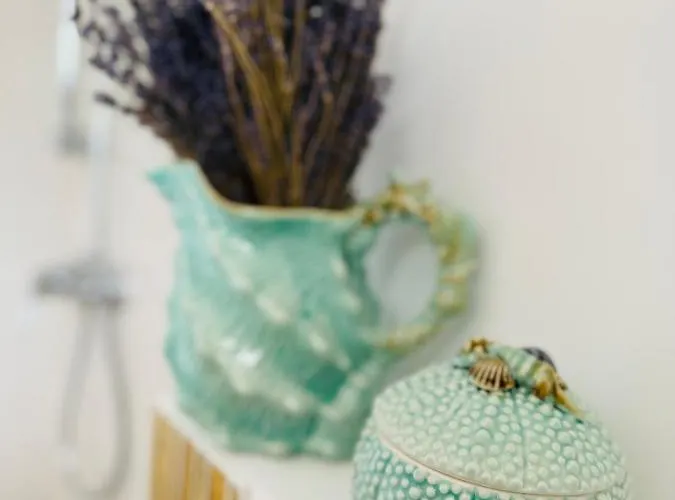 Casa Saga Proprietate Administrata De O Gazda Particulara 3* Mangalia