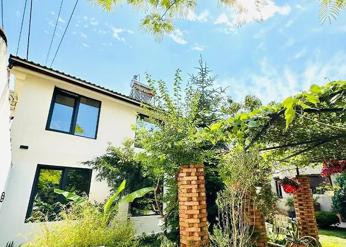 Casa Saga Proprietate Administrata De O Gazda Particulara 3*