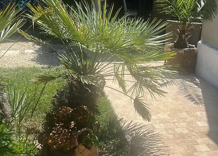 Gæstehus Casa Saga Proprietate Administrata De O Gazda Particulara Mangalia