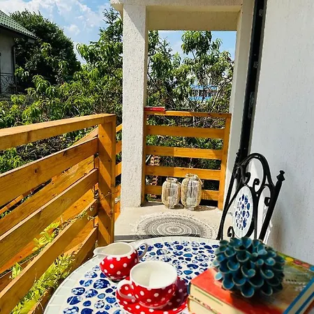 Πανσιόν Casa Saga Proprietate Administrata De O Gazda Particulara