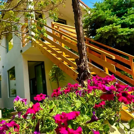 بيت ضيافة Saga Proprietate Administrata De O Gazda Particulara *