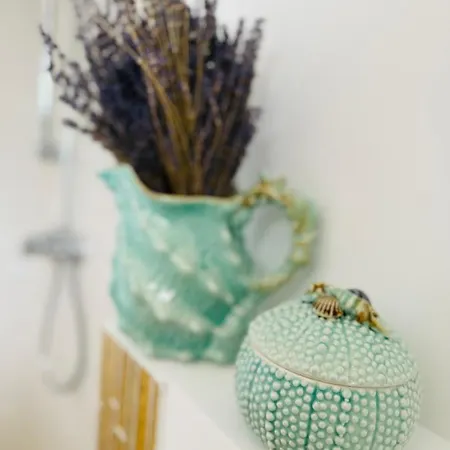 Casa Saga Proprietate Administrata De O Gazda Particulara 3* Μανγκάλια