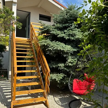 بيت ضيافة Saga Proprietate Administrata De O Gazda Particulara