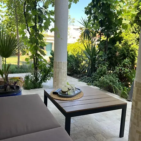 Casa Saga Proprietate Administrata De O Gazda Particulara Πανσιόν 3*