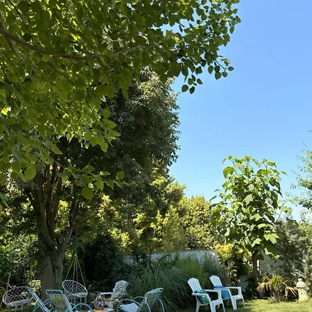 Casa Saga Proprietate Administrata De O Gazda Particulara 3*