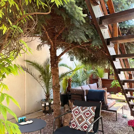 Pensjonat Casa Saga Proprietate Administrata De O Gazda Particulara 3*