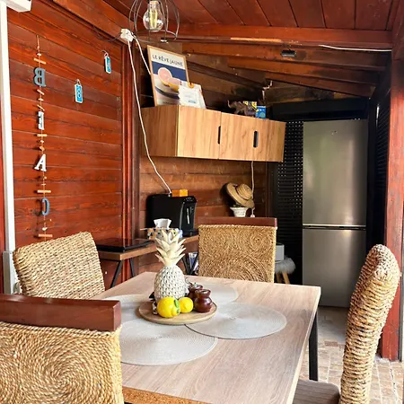 Pensjonat Casa Saga Proprietate Administrata De O Gazda Particulara Mangalia